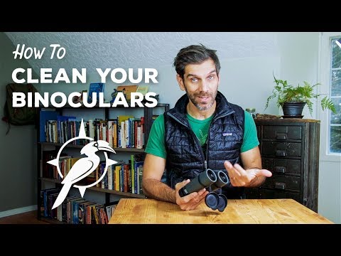 How to Clean Your Binoculars