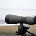 angled or straight spotting scope