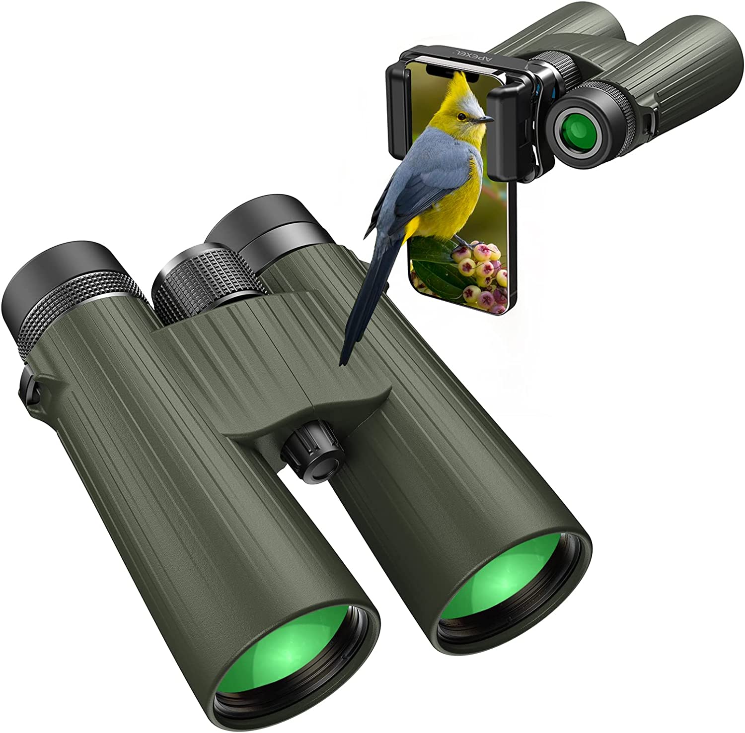 best binoculars for low light